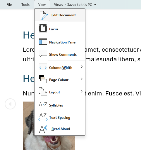 Read mode view in Microsoft Word